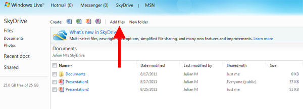 skydrive