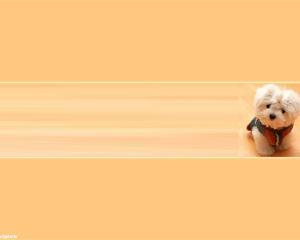 Puppy Powerpoint Template